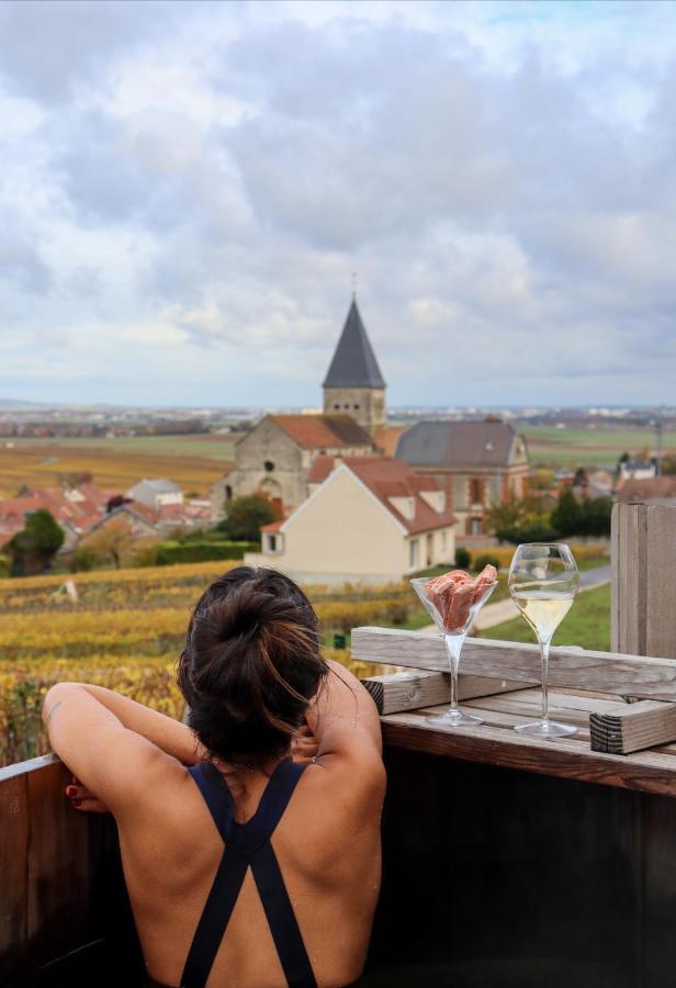 Chateau De Sacy Exterior foto